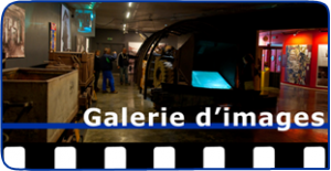 Galerie d'images