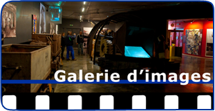 Galerie d'images